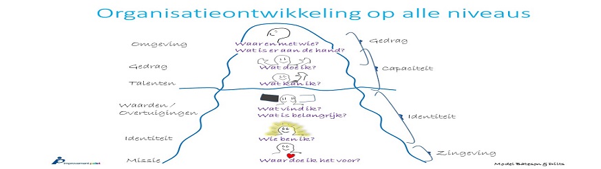 model Bateson en Dilts organisatieontwikkeling Improvement palet